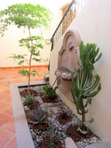 Desert courtyard garden