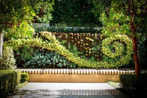 Desert landscape with succulent wall garden