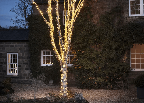 Outdoor tree branches with fairy light