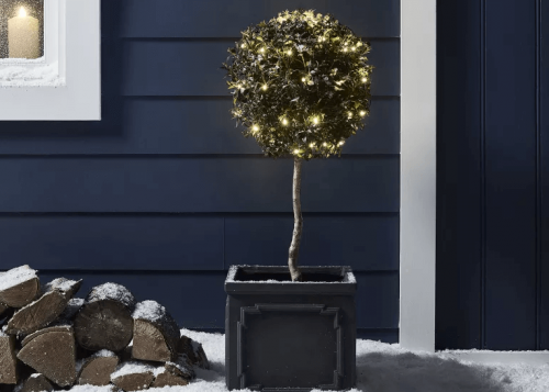 White LED outdoor battery fairy light on potted tree