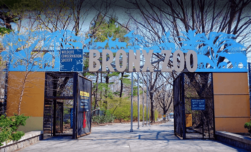 Best Zoos in U.S - Bronx zoo
