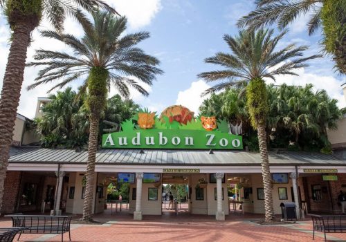 Best Zoos in U.S. - Audubon zoo