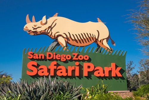 Best Zoos in U.S. - San Diego zoo