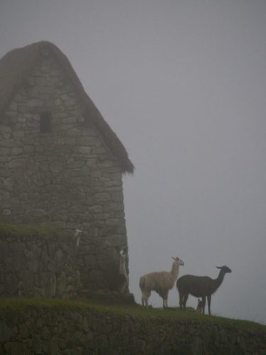 Visit Machu Picchu in late aternoon of time