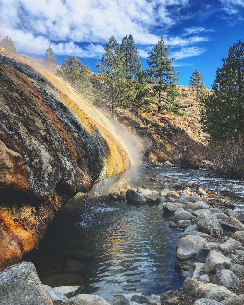 Buckeye hot springs California