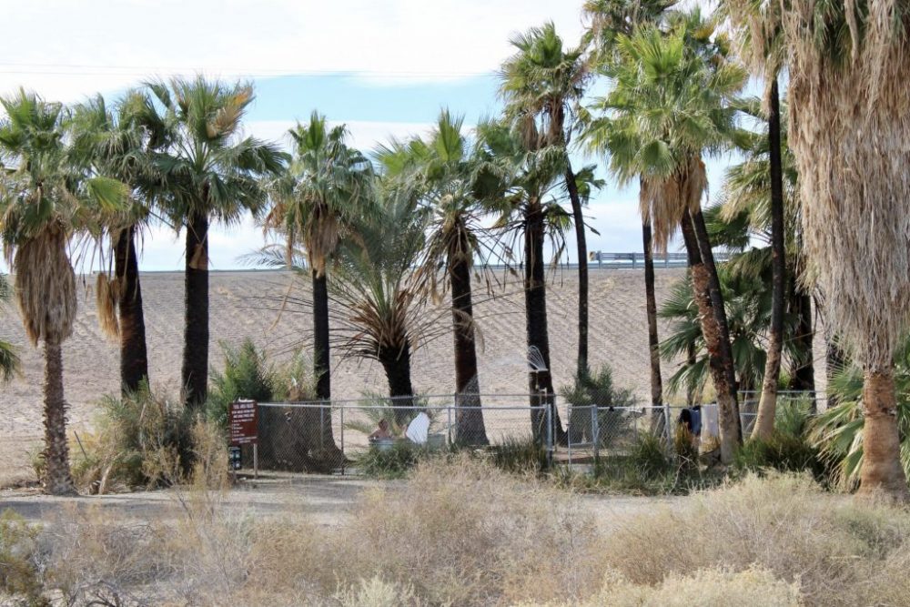 Holtville hot springs