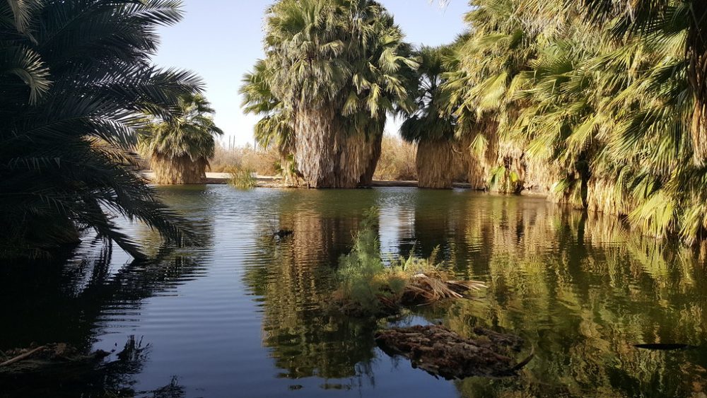 Holtville hot springs in 2015