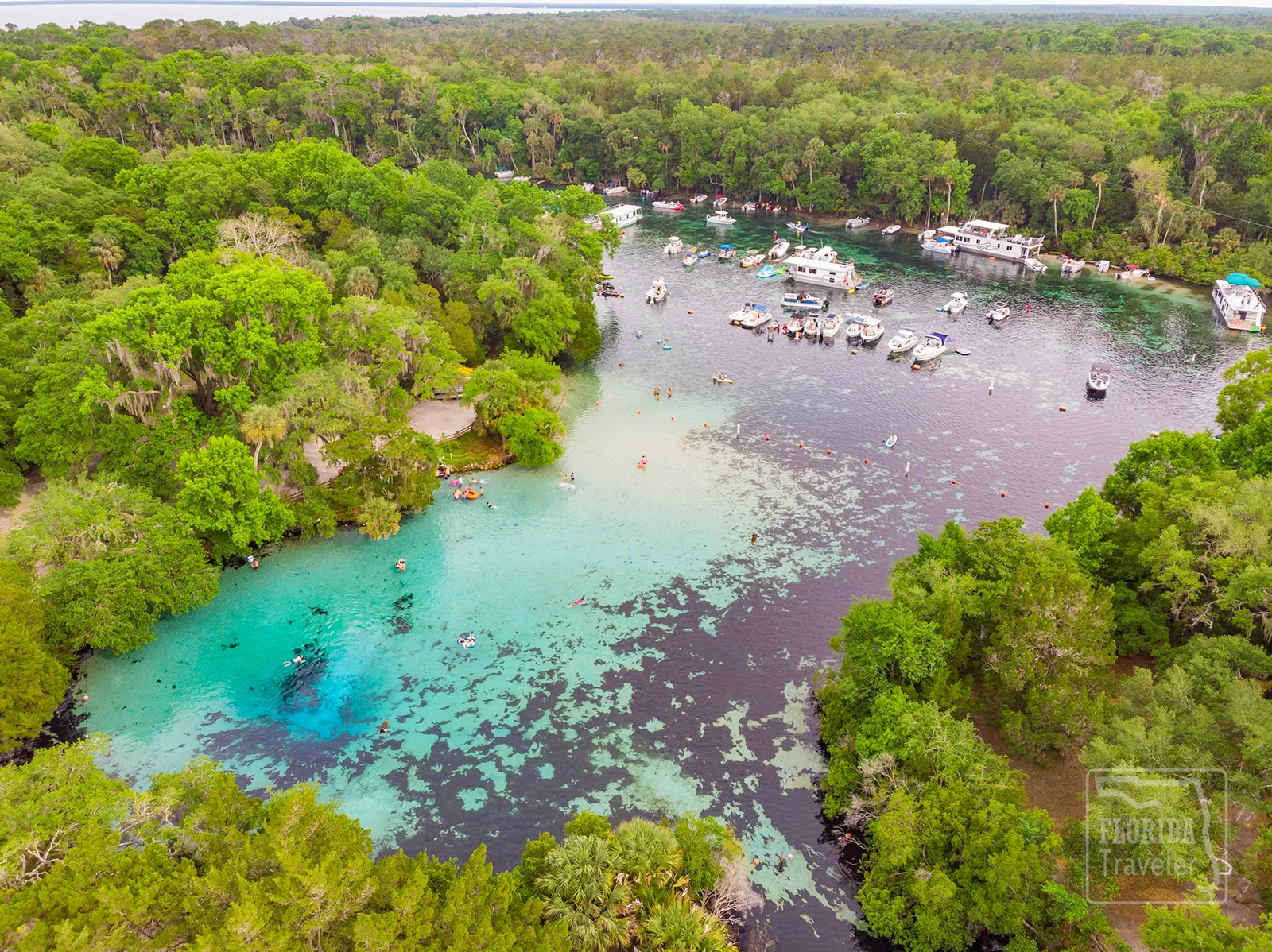 The Best Springs Near Orlando