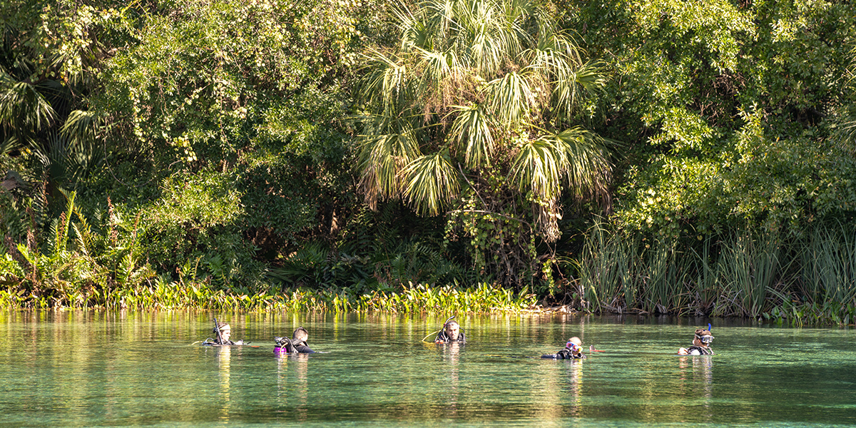 The Best Springs Near Orlando