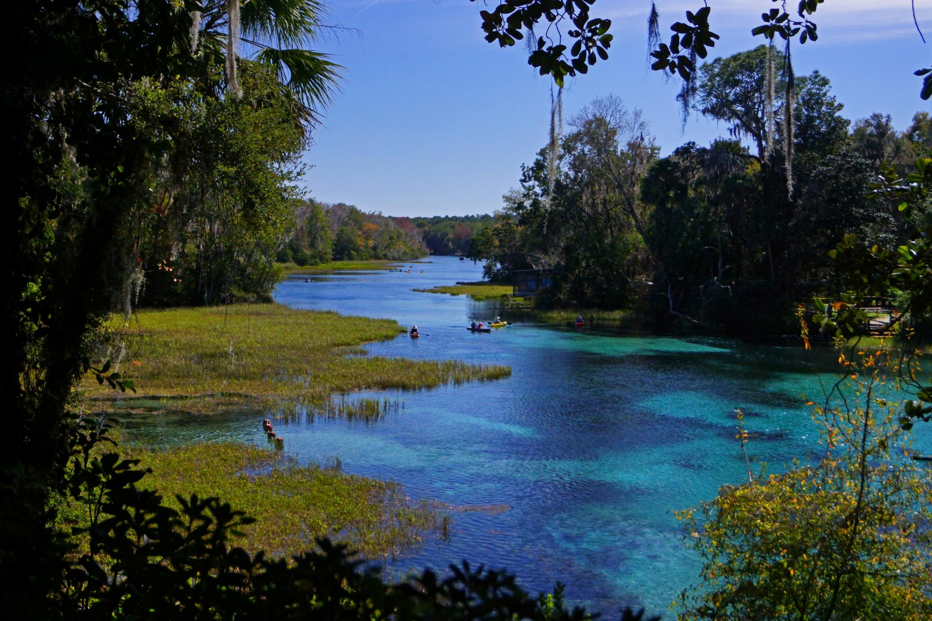 The Best Springs Near Orlando