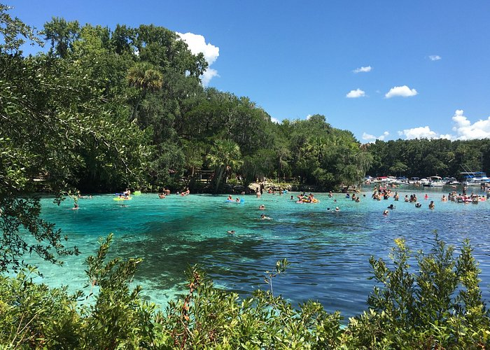 The Best Springs Near Orlando