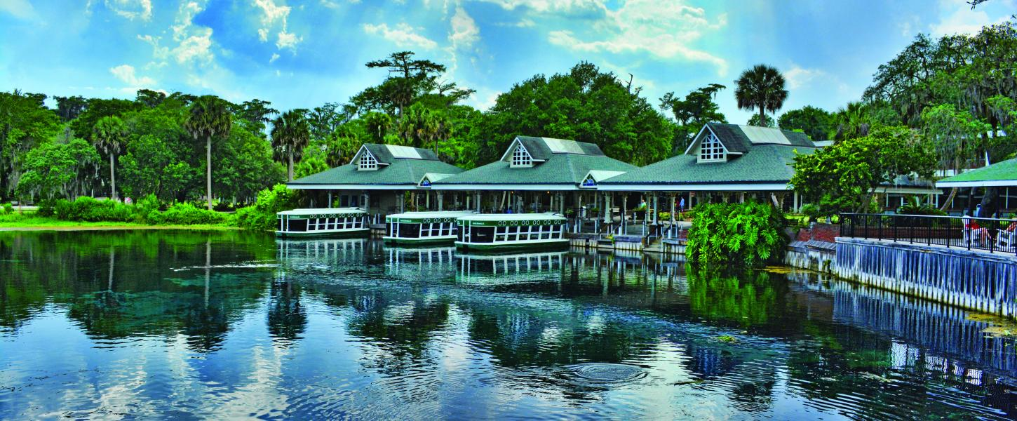 The Best Springs Near Orlando