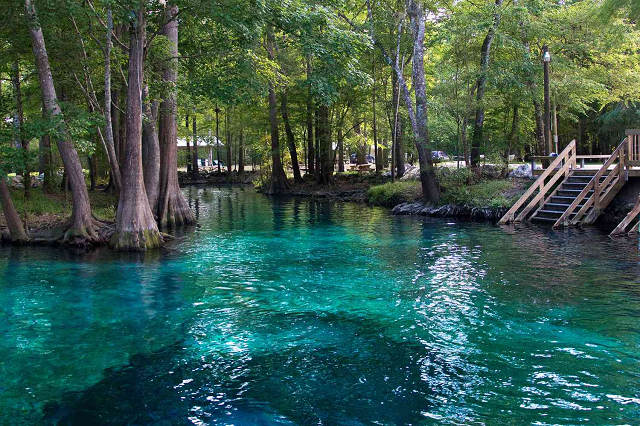 Best Florida Springs 