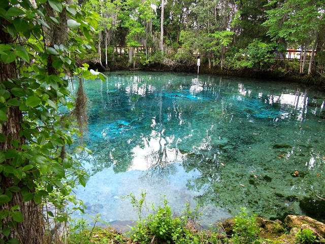 Best Florida Springs 