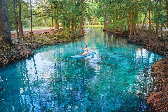 Best Florida Springs 