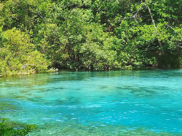 Best Florida Springs 