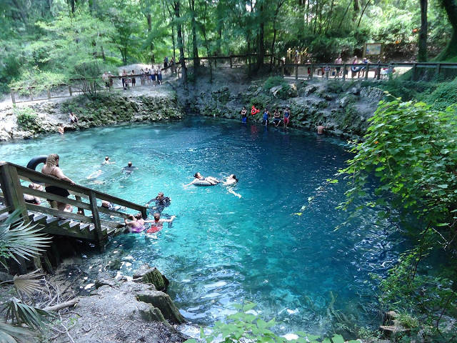 Best Florida Springs 