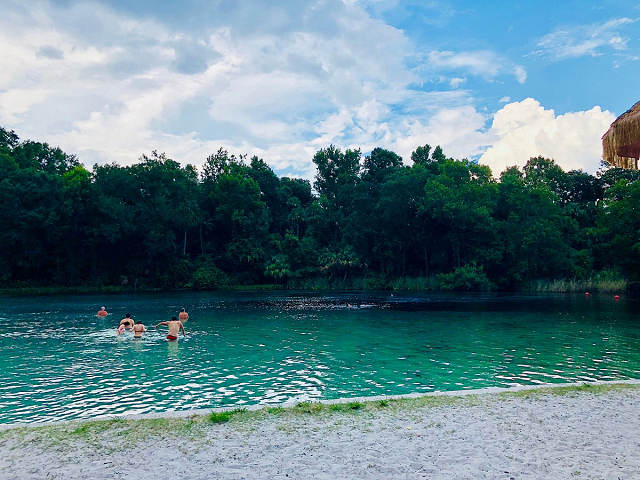 Best Florida Springs 