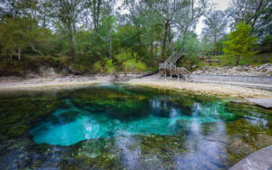 Best Florida Springs – A Comprehensive Guide to the Best Natural Marvels