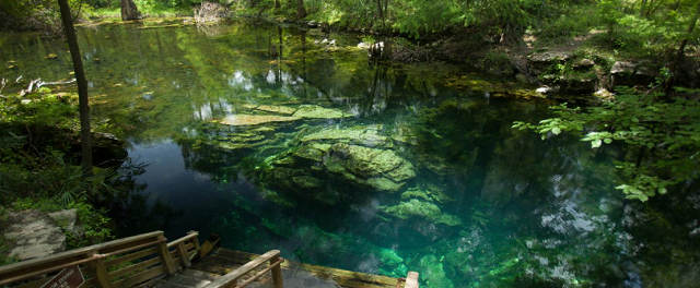 Best Florida Springs 