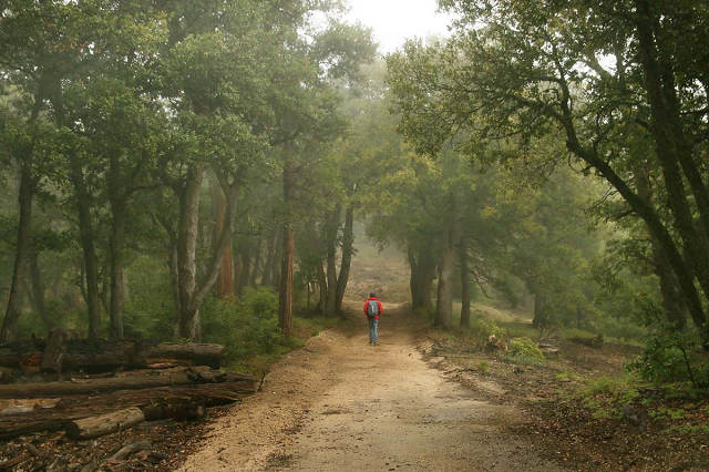 San Diego County Hot Springs