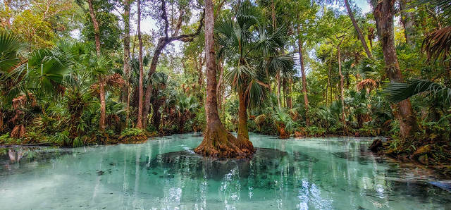 Best Florida Springs 